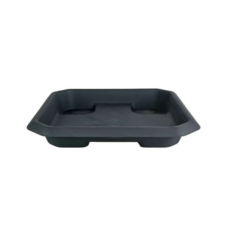 صحن إصيص سيرينوفا حصار المربع