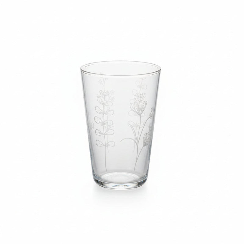 Cerve 6-Piece Glass Set 400cc