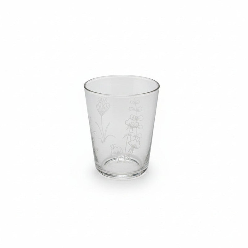 Cerve 6-Piece Glass Set 125cc