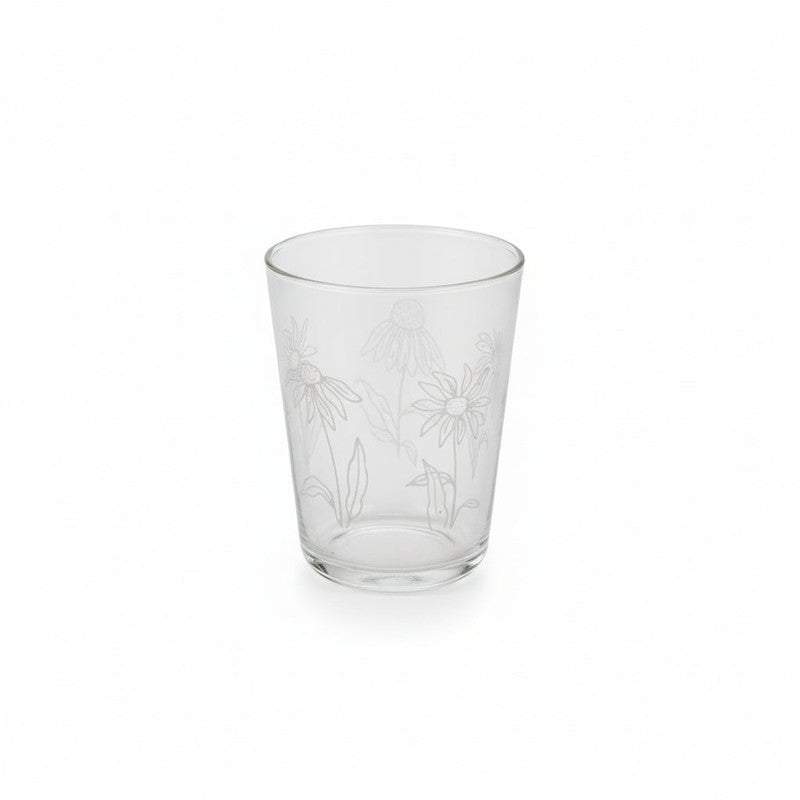 Cerve 6-Piece Glass Set 125cc