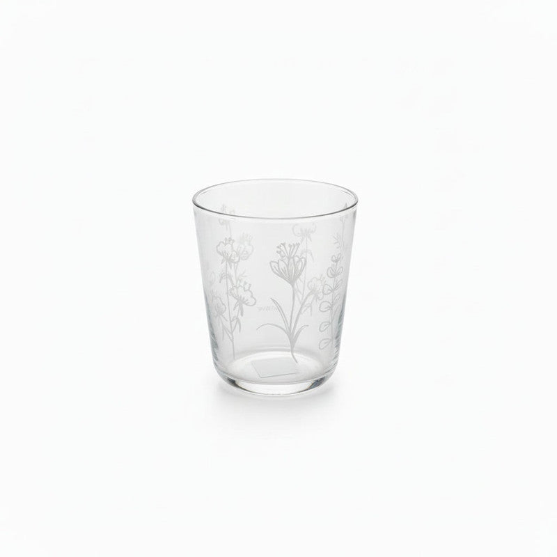 Cerve 6-Piece Glass Set 315cc